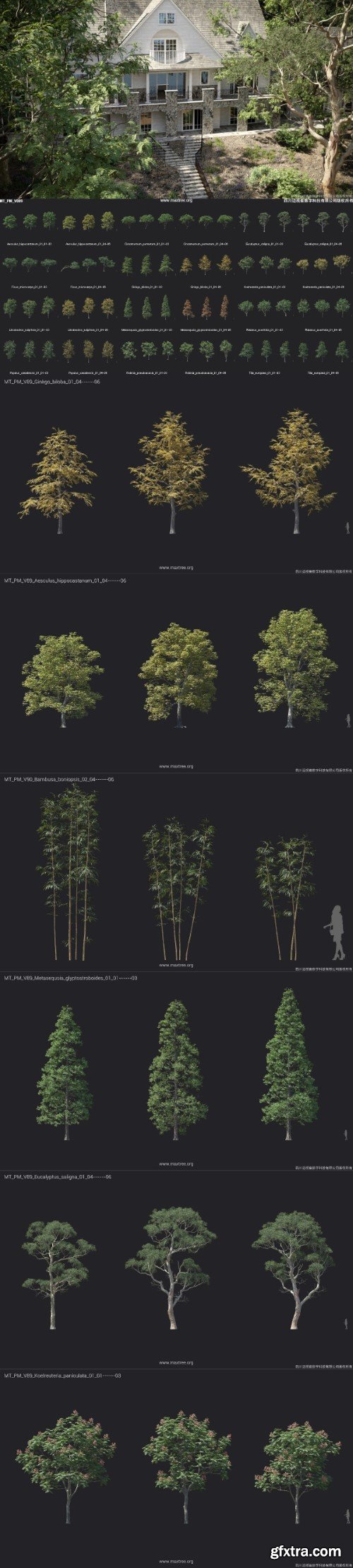 Maxtree - Plant Models 89