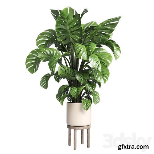 3dsky Pro - Indoor plant 89 wood vase pot plant monstera