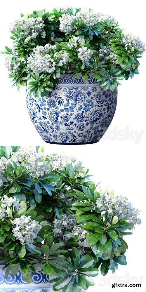 3dsky Pro - Bouquet of white flowers in a potted vase for decoration