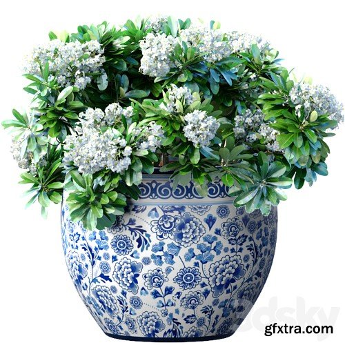 3dsky Pro - Bouquet of white flowers in a potted vase for decoration