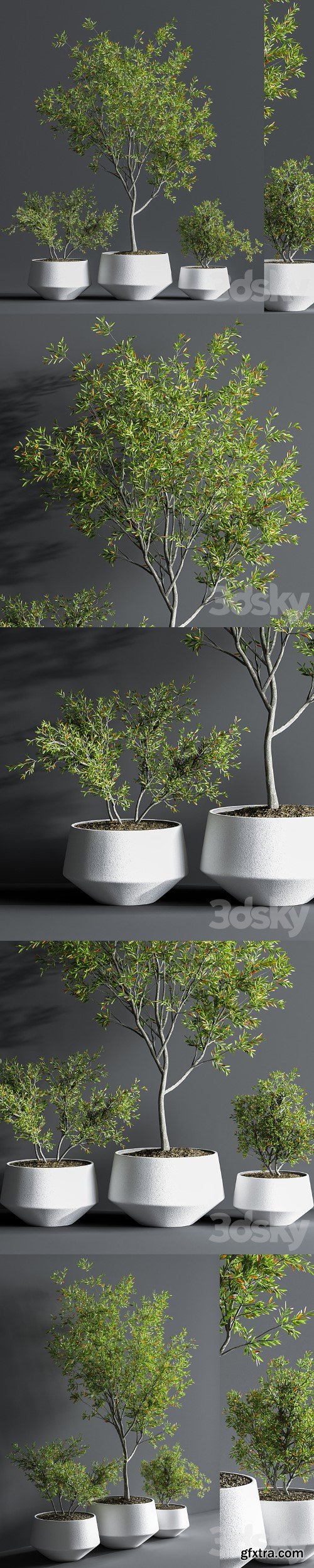 3dsky Pro - Indoor_Set_Plant_08