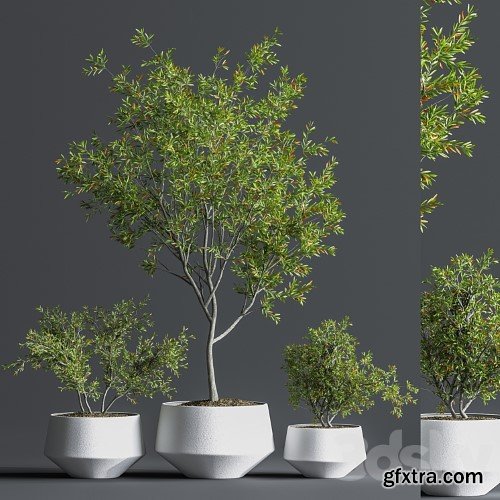 3dsky Pro - Indoor_Set_Plant_08