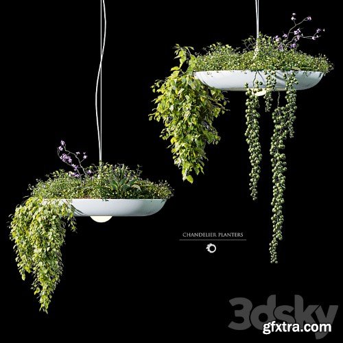 3dsky Pro - Chandelier plant pot