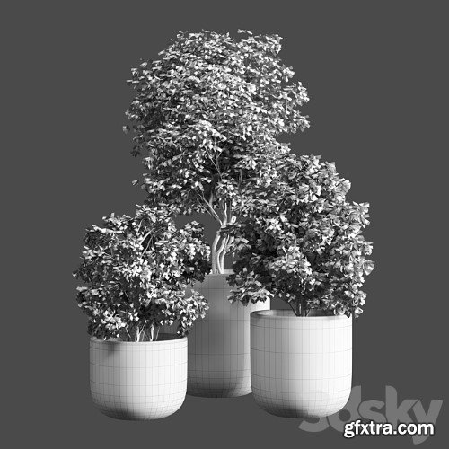 3dsky Pro - Outdoor plant 06
