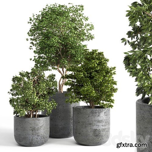 3dsky Pro - Outdoor plant 06