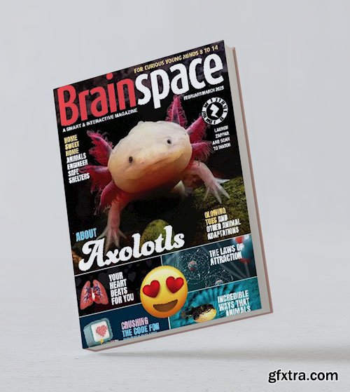 Brainspace - February/March 2025