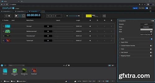 VIOSO GmbH EXAPLAY 2.2.6