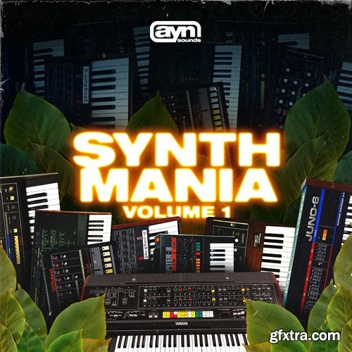 AYN Sounds Synth Mania Vol 1 AYN Sounds Synth Mania Vol 1