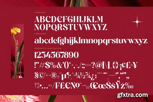 Myfonts - Regita Glamor Font Family