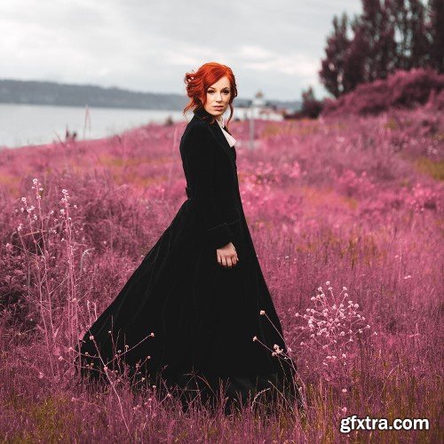 Pro EDU - Master Collection