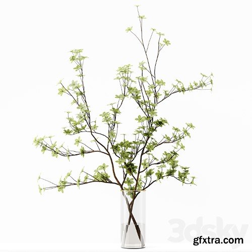 3dsky Pro - Collection Indoor Plants 037