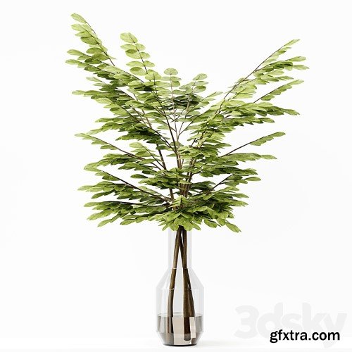 3dsky Pro - Collection Indoor Plants 037