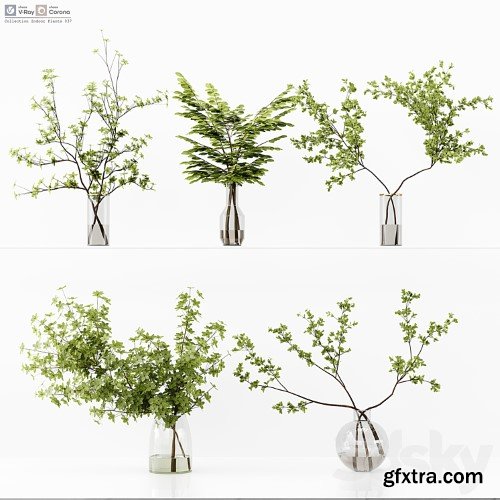 3dsky Pro - Collection Indoor Plants 037