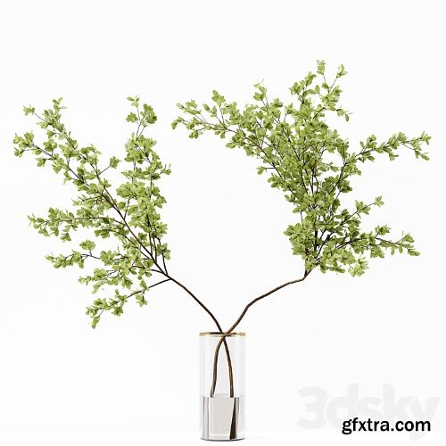 3dsky Pro - Collection Indoor Plants 037