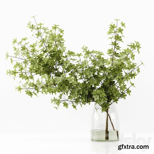 3dsky Pro - Collection Indoor Plants 037