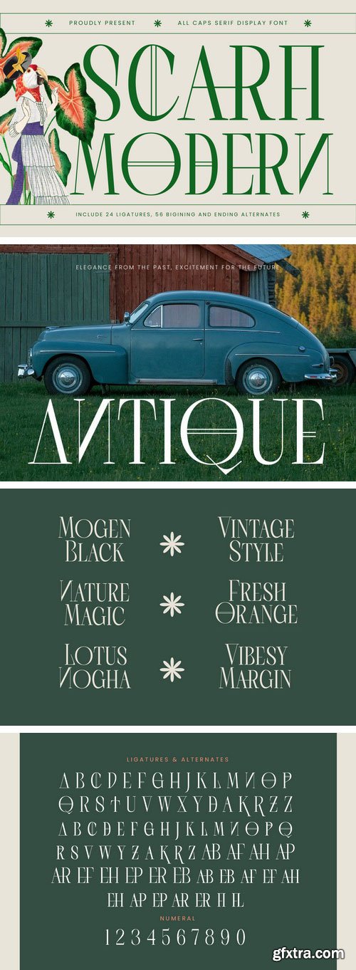 Myfonts - Scarfi Modern Font Family