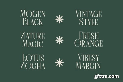 Myfonts - Scarfi Modern Font Family