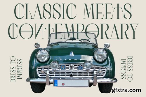 Myfonts - Scarfi Modern Font Family