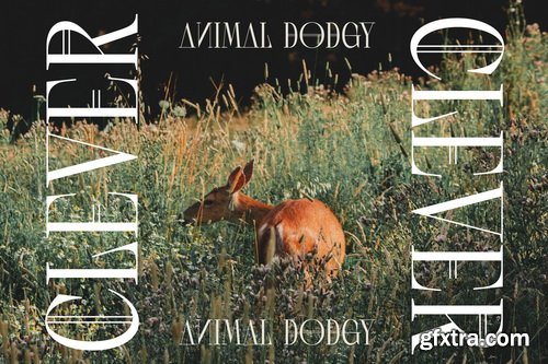 Myfonts - Scarfi Modern Font Family