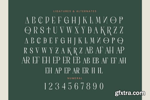 Myfonts - Scarfi Modern Font Family