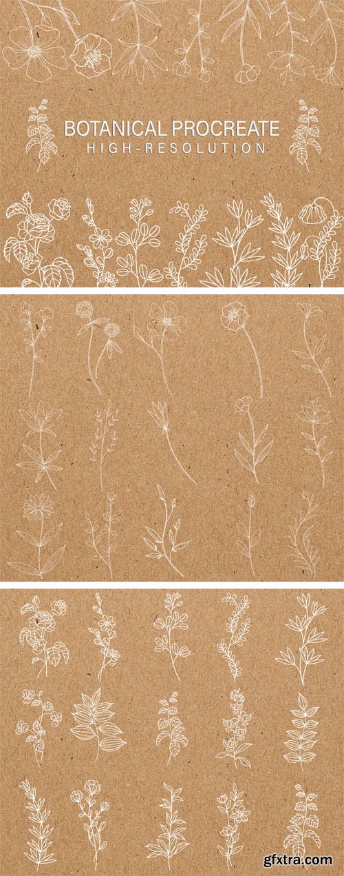 Botanical Stamps - Procreate Brushes Botanical Stamps - Procreate Brushes