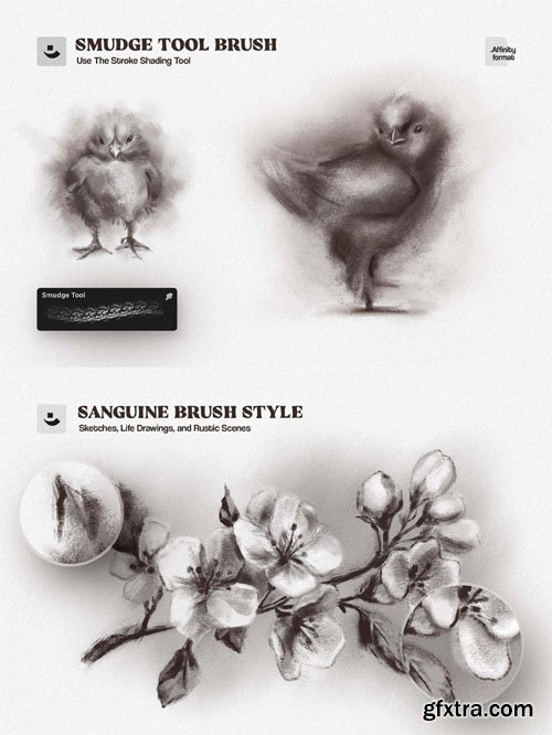 10 Charcoal Sketch Affinity Brushes