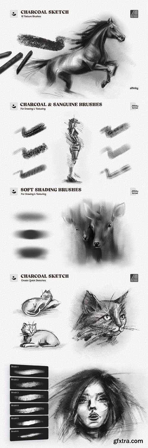 10 Charcoal Sketch Affinity Brushes 10 Charcoal Sketch Affinity Brushes