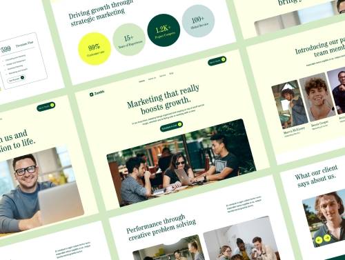 'Zenith Marketing Agency Landing page'