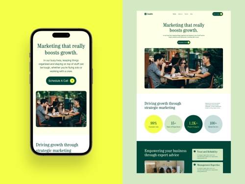 'Zenith Marketing Agency Landing page'