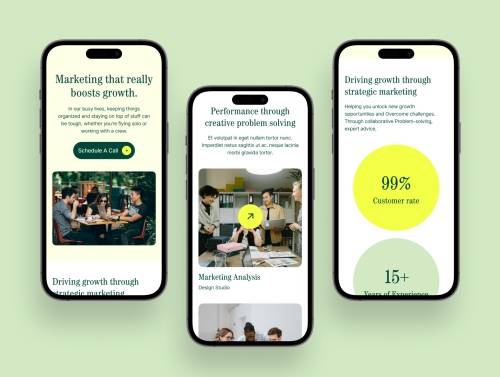 'Zenith Marketing Agency Landing page'