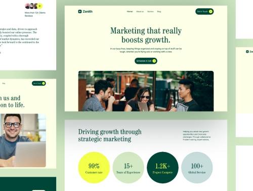 'Zenith Marketing Agency Landing page'