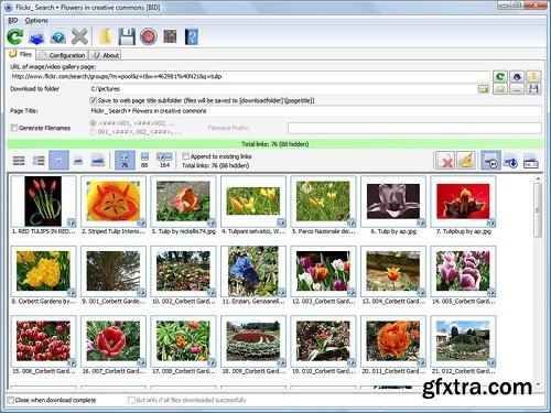 Bulk Image Downloader 6.60