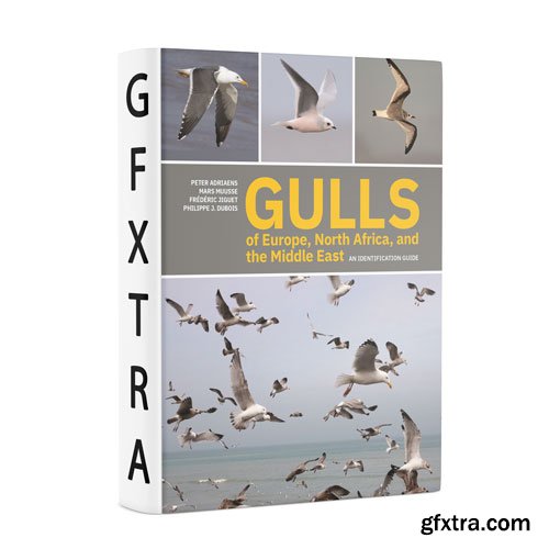 Gulls of Europe, North Africa, and the Middle East: An Identification Guide