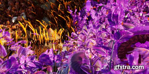 Blendermarket - Mossify