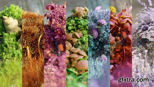 Blendermarket - Mossify