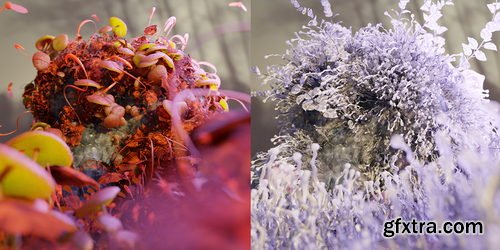 Blendermarket - Mossify