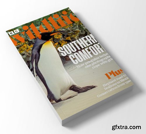 BBC Wildlife Magazine - March 2025