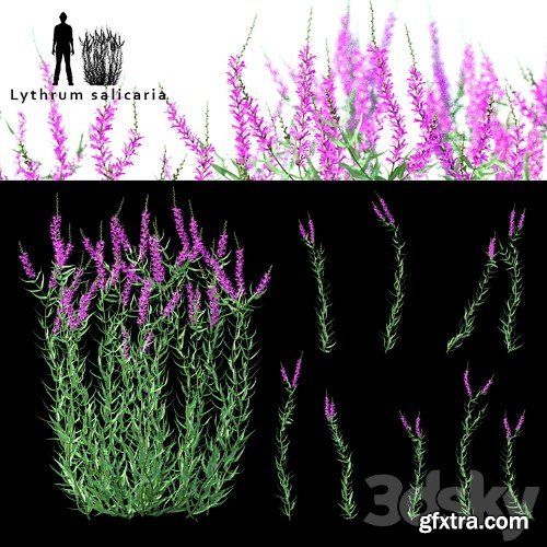3dsky Pro - Green stalk flowers 