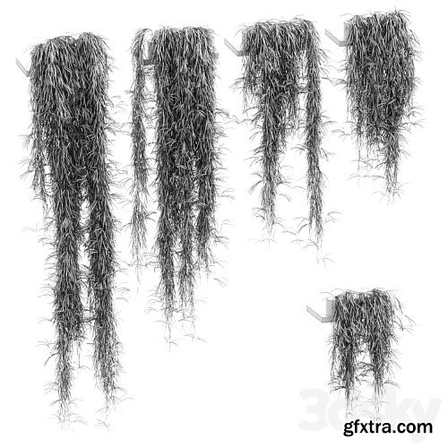 3dsky Pro - Hanging plants for shelves. 5 models. set 1