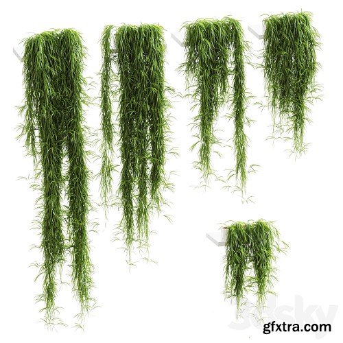 3dsky Pro - Hanging plants for shelves. 5 models. set 1