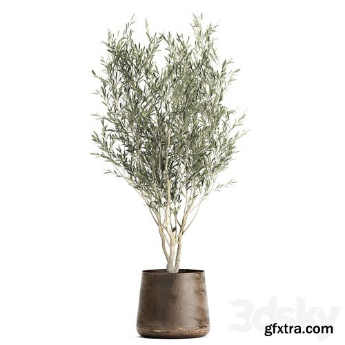 3dsky Pro - Collection of tree plants in outdoor metal rusty pots Banana palm, . Set 949.