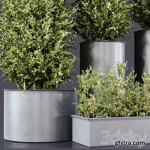 3dsky Pro - Outdoor Plants 01