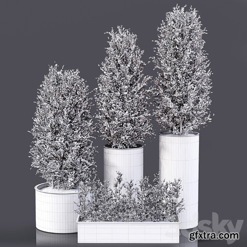 3dsky Pro - Outdoor Plants 01