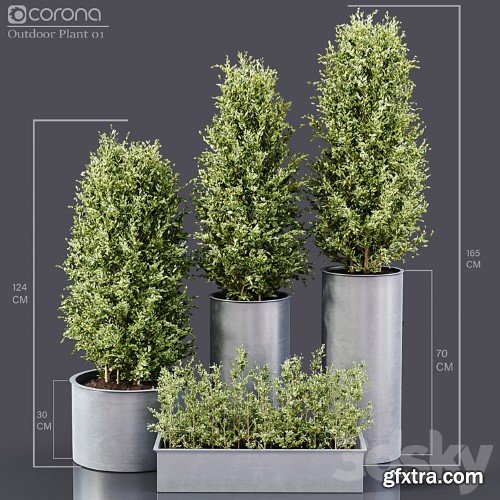 3dsky Pro - Outdoor Plants 01