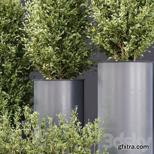 3dsky Pro - Outdoor Plants 01