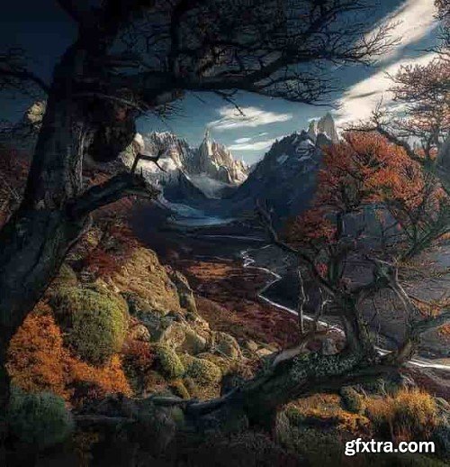 Max Rive - From Instagram Zero To Instagram Hero