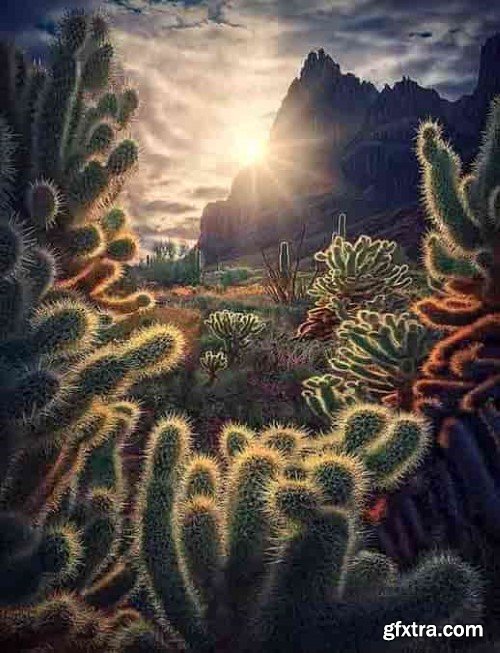 Max Rive - From Instagram Zero To Instagram Hero