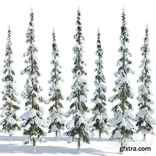 3dsky Pro - Winter taiga spruce_11m (Spruce).