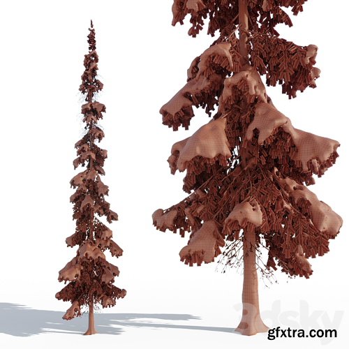 3dsky Pro - Winter taiga spruce_11m (Spruce).