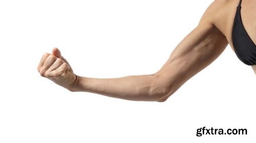 Proko - Poses for Artists - Hands